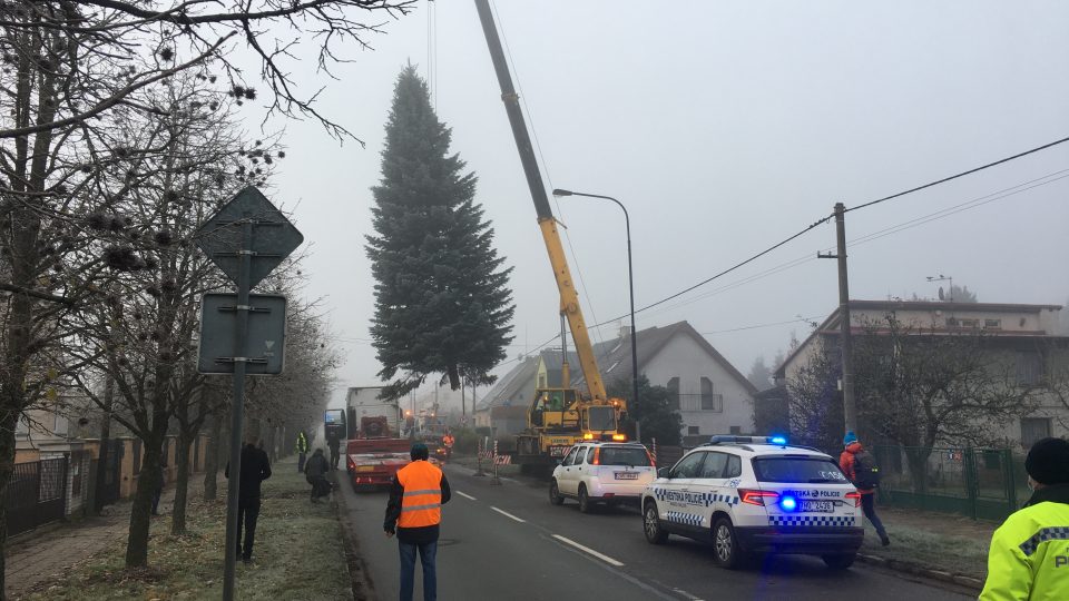 Přeprava a instalace vánočního stromu v Hradci Králové