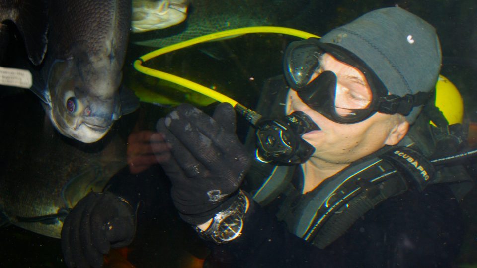 Krmení pod hladinou