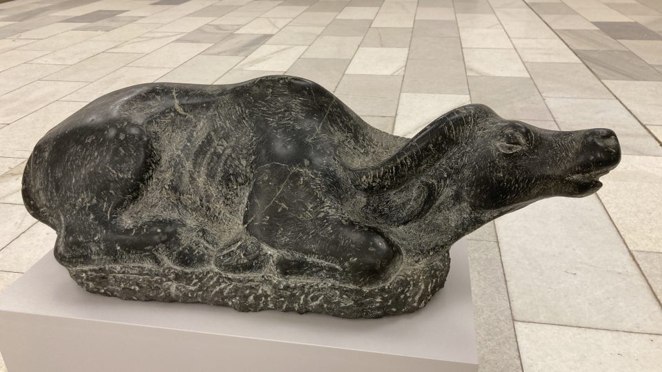 Vincenc Vingler - Umírající buvol v náchodské Galerii výtvarného umění