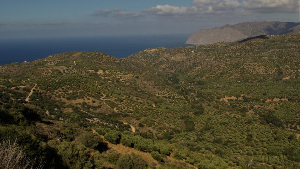 Výjimečně optimální půda pro pěstování olivovníků je na ostrově Kréta