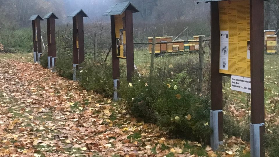 Včelí naučná stezka v Trnové u Pardubic | foto: Evžen Báchor, Český rozhlas Včelí naučná stezka v Trnové u Pardubic