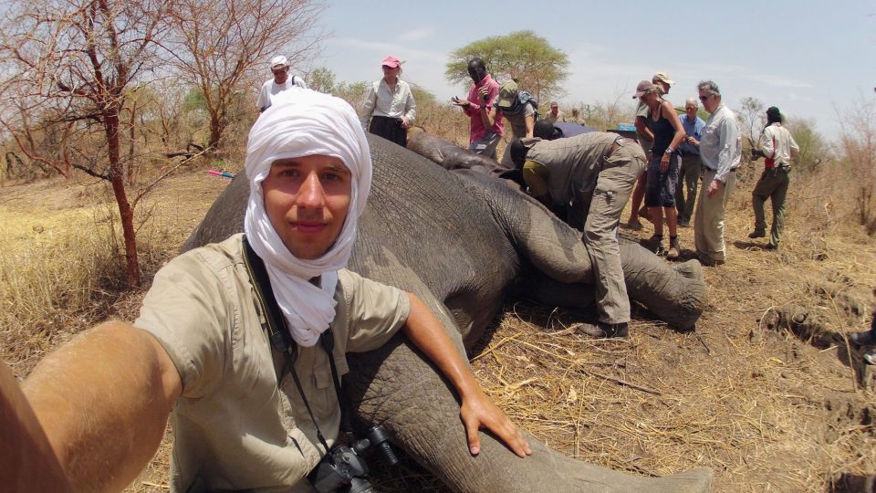 Arthur Sniegon pomáhá zachránit slony.ve střední Africe