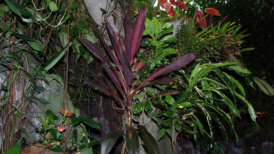 Nad hladinou nádrže