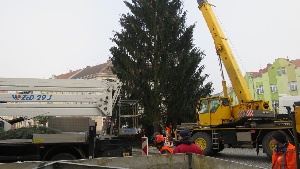 Přeprava a instalace vánočního stromu v Hradci Králové