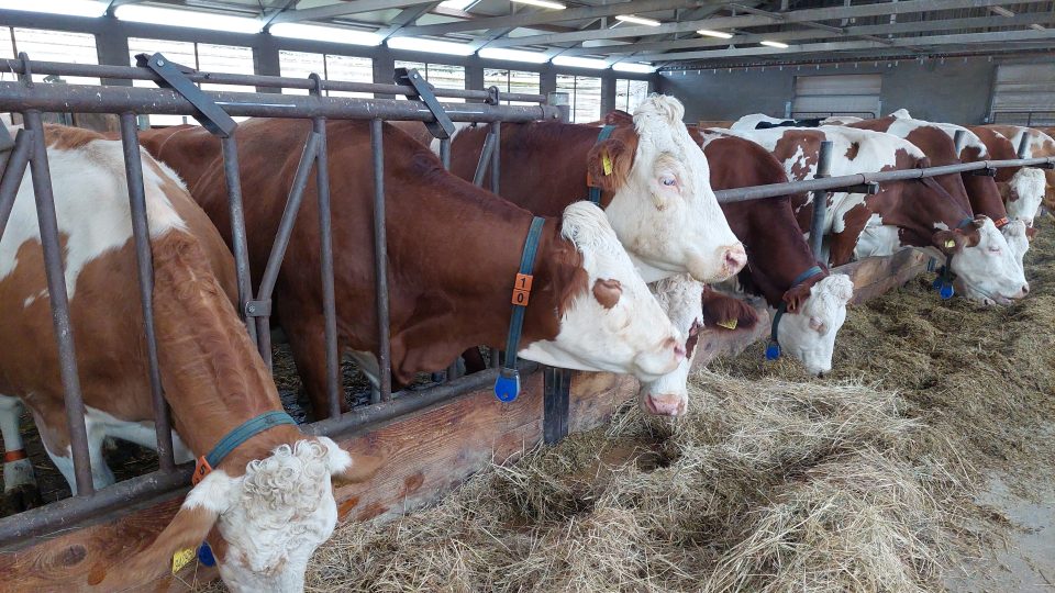 Polovina veškeré výuky v Zemědělské akademii v Hořicích na Jičínsku je praktická