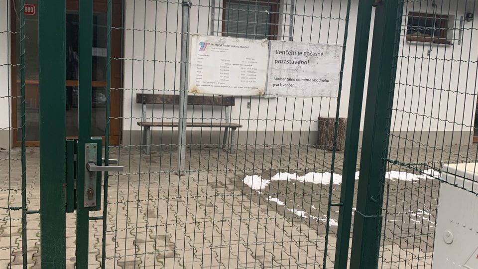 Městský útulek pro opuštěná zvířata v Hradci Králové řeší problém