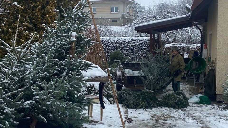 Plantáže v Červeném Kostelci na Náchodsku nabízí osmnáct různých druhů dřevin