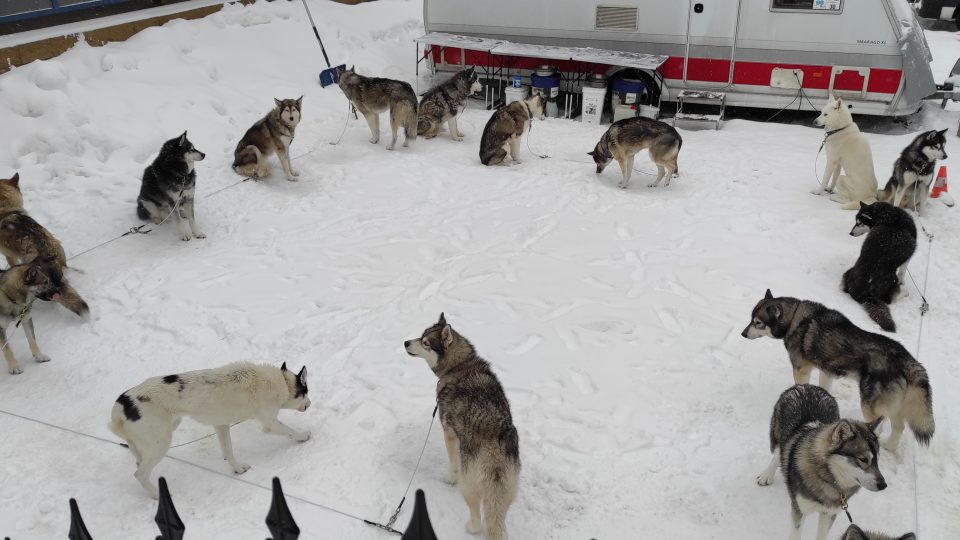 Rozhlasový přenos s legendárního závodu psích spřežení Šediváčkův long v Orlických horách