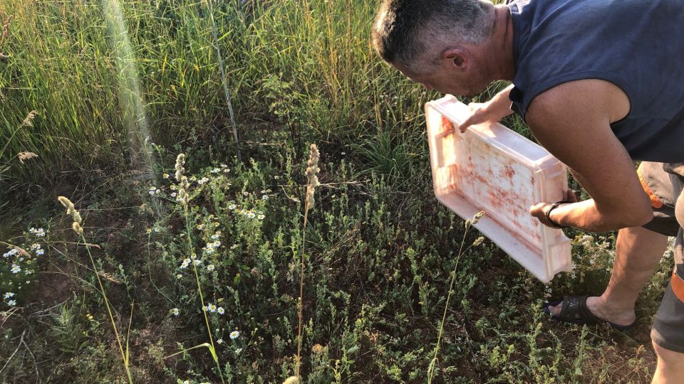 Myslivci na Vrchlabsku společně s dobrovolníky začali vozit lesní zvěři vodu