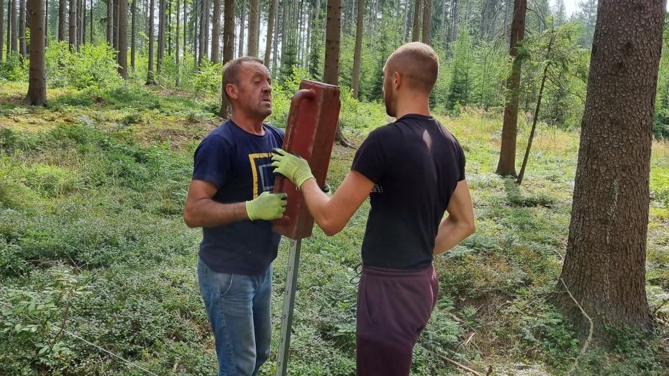 Při návštěvě lesa snad každý zaregistroval oplocená místa. Proč k této ochraně lesníci přistupují?