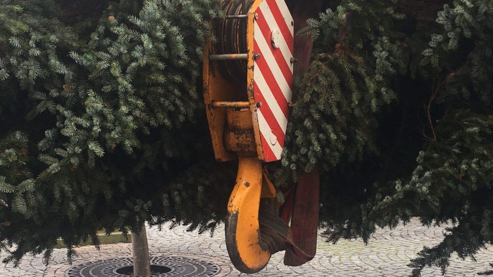 Na Krakonošově náměstí v Trutnově už stojí vánoční smrk