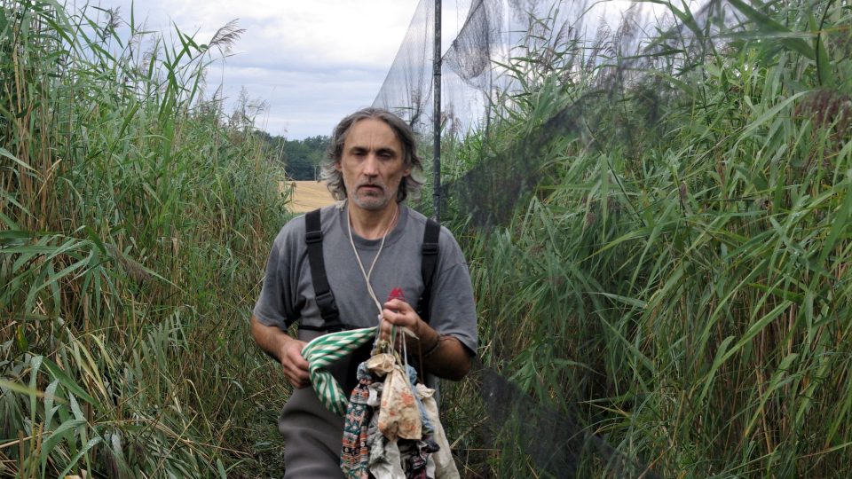 Ornitolog Vladimír Šoltys nese v plátěných sáčcích odchyt ptačích jedinců ze sítě v rákosí u rybníku Zrcadlo