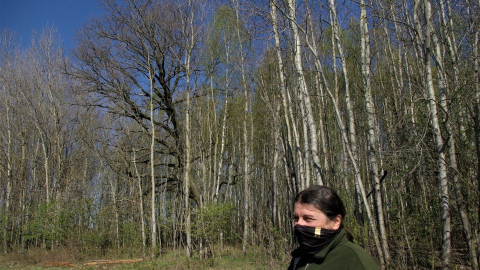 Při cestách krajinou navazujeme určité pouto, proto se stáváme poutníky