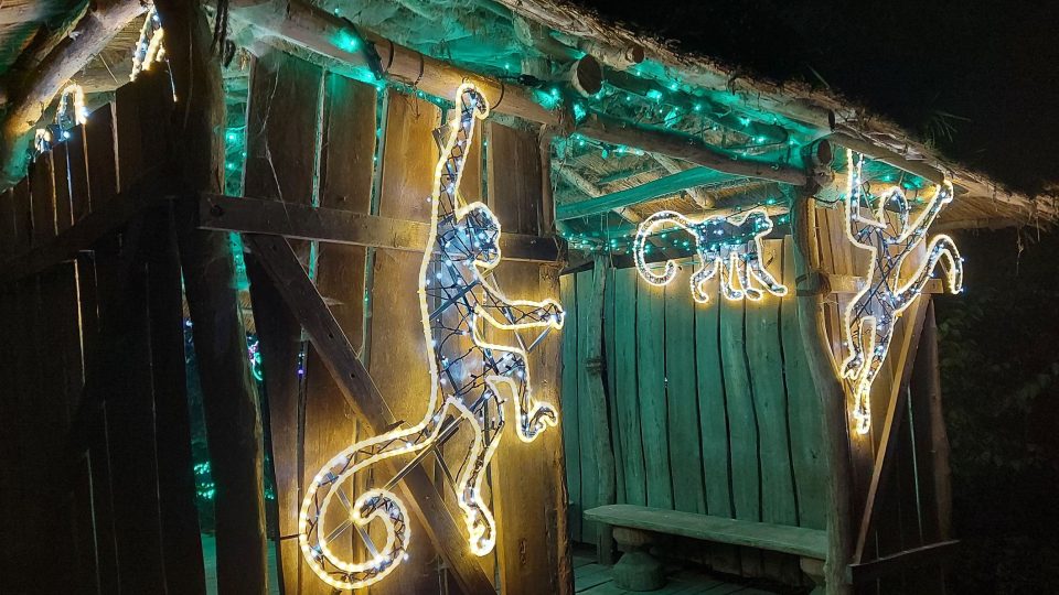 Světla zdobí i odpočinková místa | foto: Jolana Nováková, Český rozhlas Světla zdobí i odpočinková místa