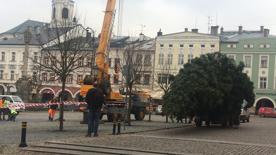 Na Krakonošově náměstí v Trutnově už stojí vánoční smrk