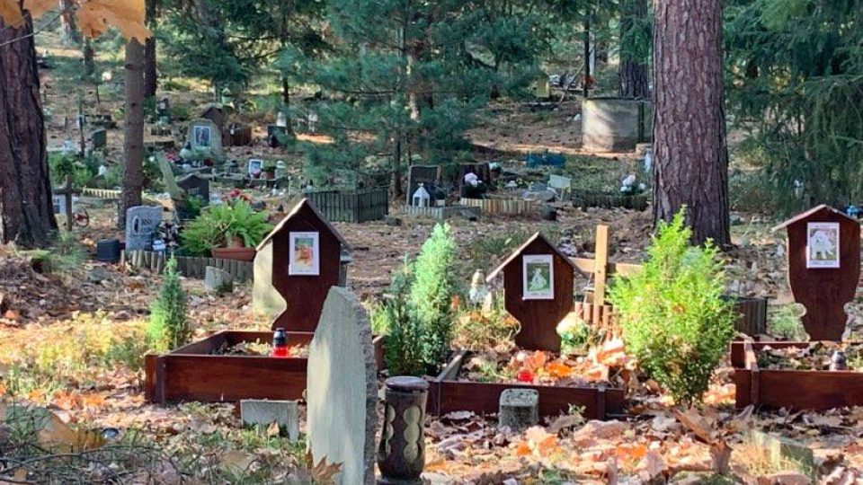 Zvířecí hřbitov v Hradci Králové je jediný v kraji. Pohřbeni jsou na něm nejrůznější domácí mazlíčci