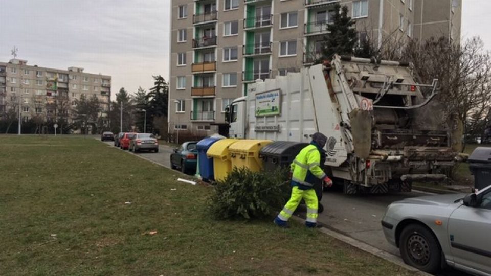 Hradecké technické služby odklízí použité vánoční stromky