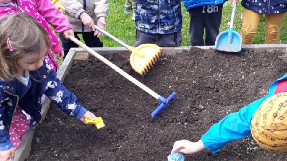 Děti v MŠ Kamarád v Hradci Králové se učí semenařit