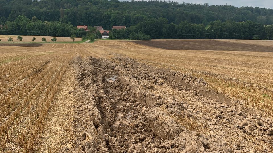 Žně budou podle zemědělců v Královéhradeckém kraji kvůli dešťům a podmáčené půdě posunuté