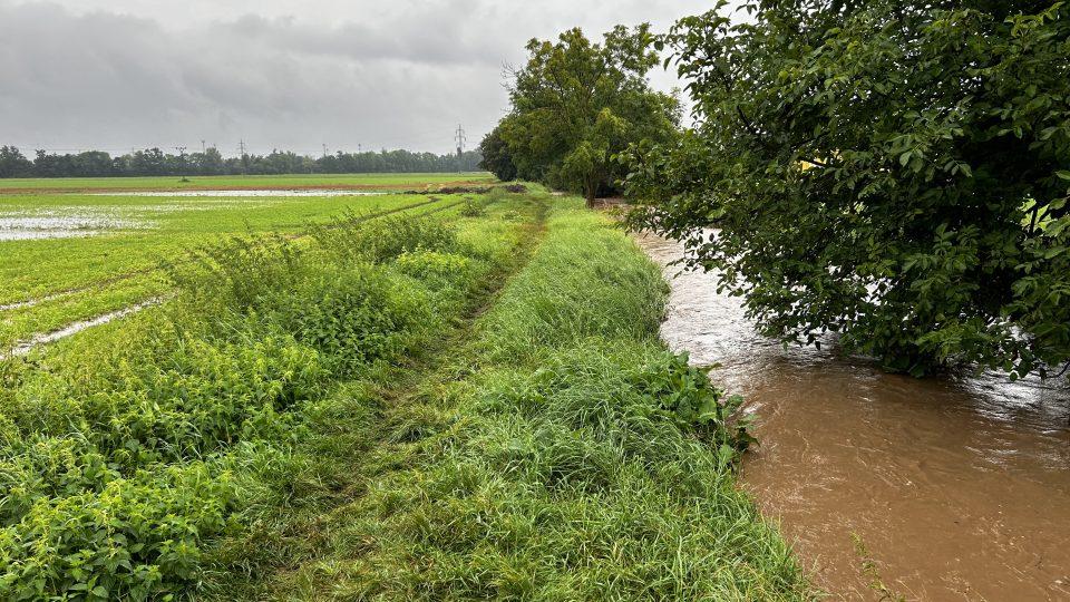 Potok Melounka se v Plotištích na okraji Hradce Králové už čtyřikrát za letošní léto vylil z břehů