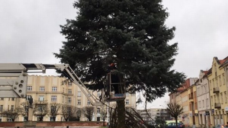 Pracovníci technických služeb v Hradci Králové odstranili vánoční stromy