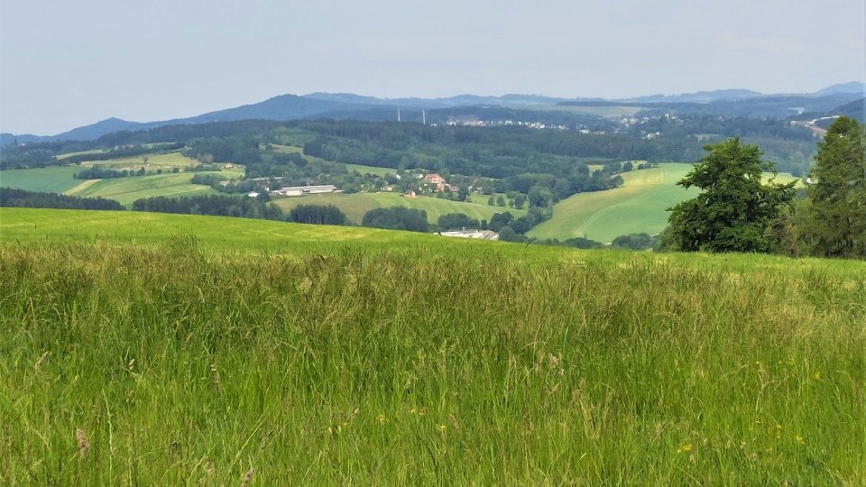 Výhled na Novopacko | foto: Vladislava Wildová, Český rozhlas Výhled na Novopacko