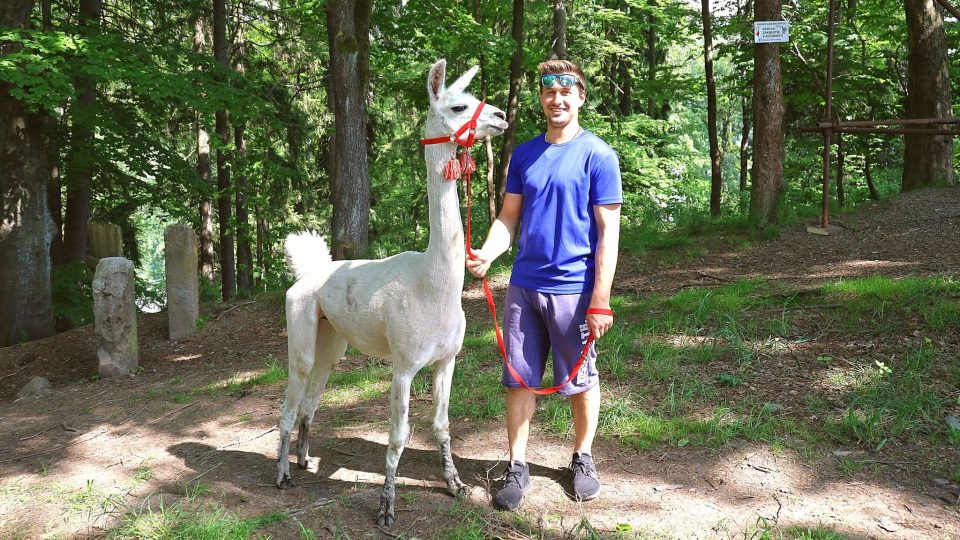 Štěpán Vlček pořádá se svými zvířaty lamatreking a pro seniory dokonce lamí a velbloudí terapie