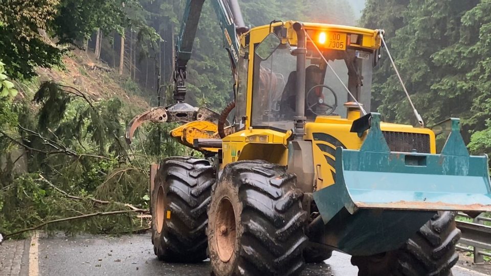 Tragický pád stromu v Krkonoších na auto policie řeší jako usmrcení z nedbalosti