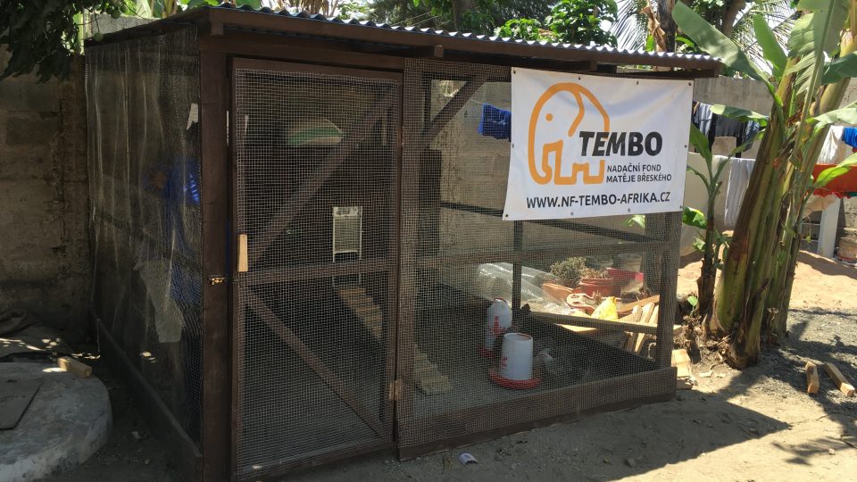Tanzánie - město Arusha. Stavba kurníku v dětském domově