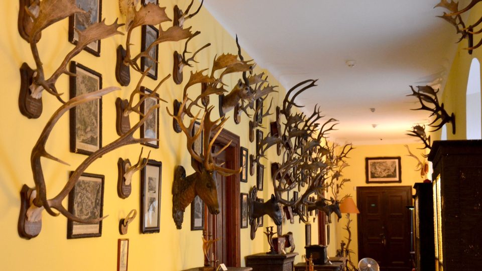 Impozantní chodba trofejí