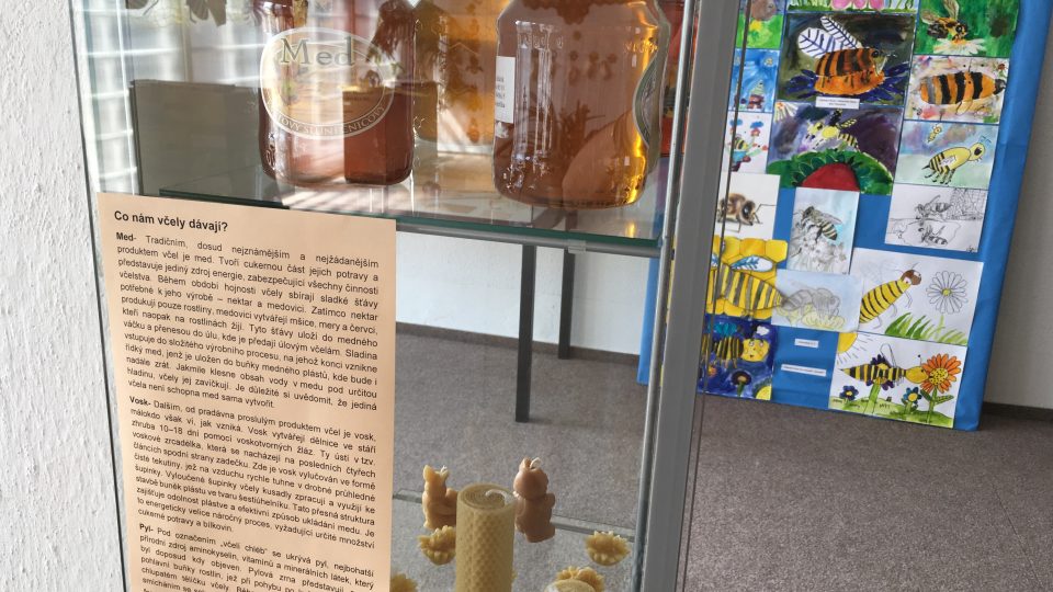 Dotkni se přírody - včely. Interaktivní výstava v Městském muzeu v Jaroměři