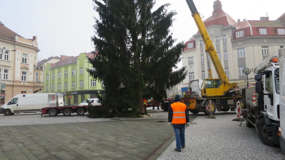 Přeprava a instalace vánočního stromu v Hradci Králové