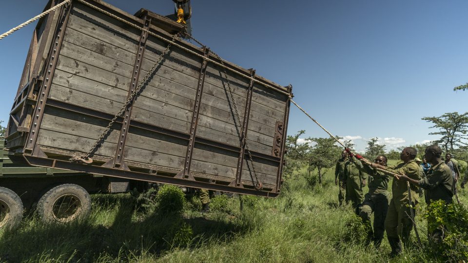 Projekt BioRescue na záchranu severního bílého nosorožce