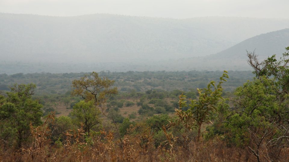 Akagera National Park se rozprostírá na severovýchodě Rwandy 