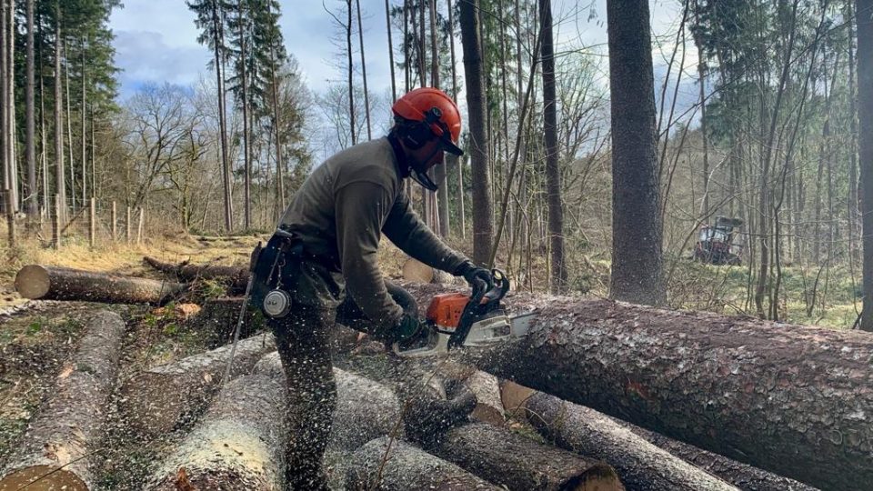 Začal úklid lesa Včelný u Rychnova nad Kněžnou, kde řádila vichřice