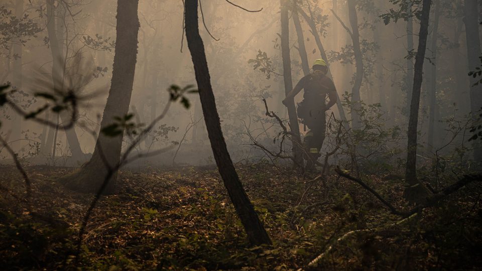 Série snímků práce hasičů při pomoci u požárů v Řecku získala cenu Czech Press Photo