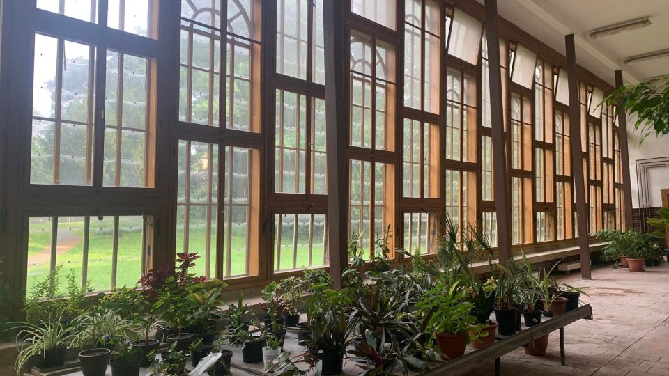 Zámecký skleník v Opočně se v létě promění na úžasnou galerii