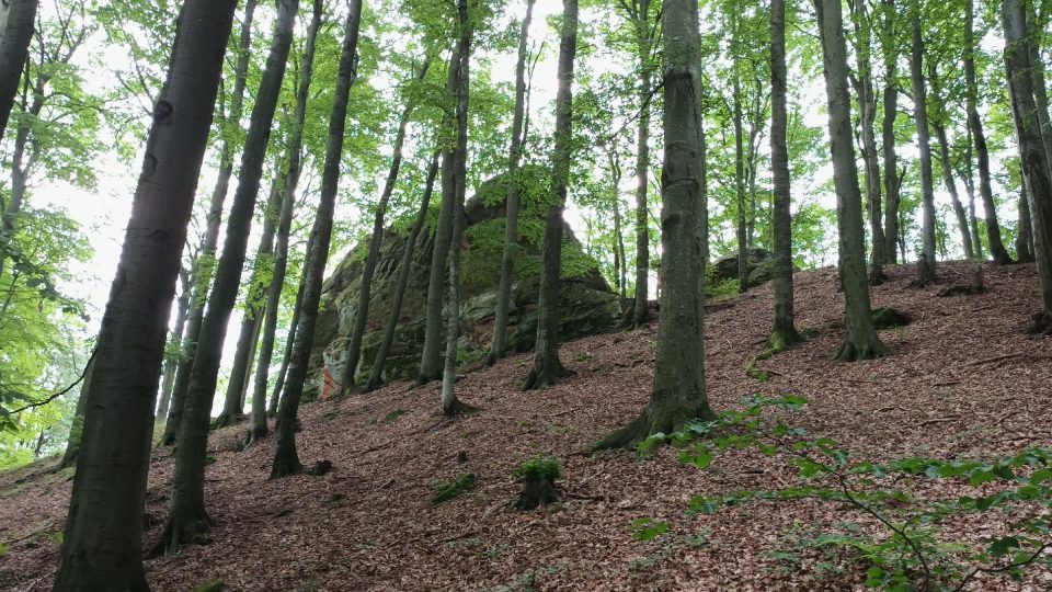 Čertův kámen je dominantou kopce Rýsova