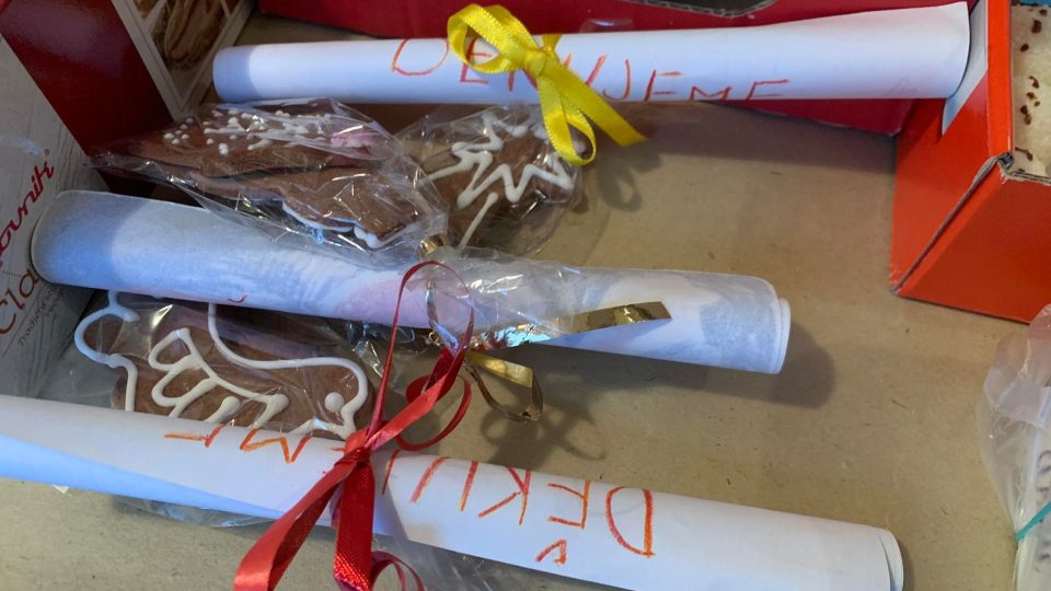Skauti z Červeného Kostelce na Náchodsku uspořádali sbírku sladkostí pro zdravotníky
