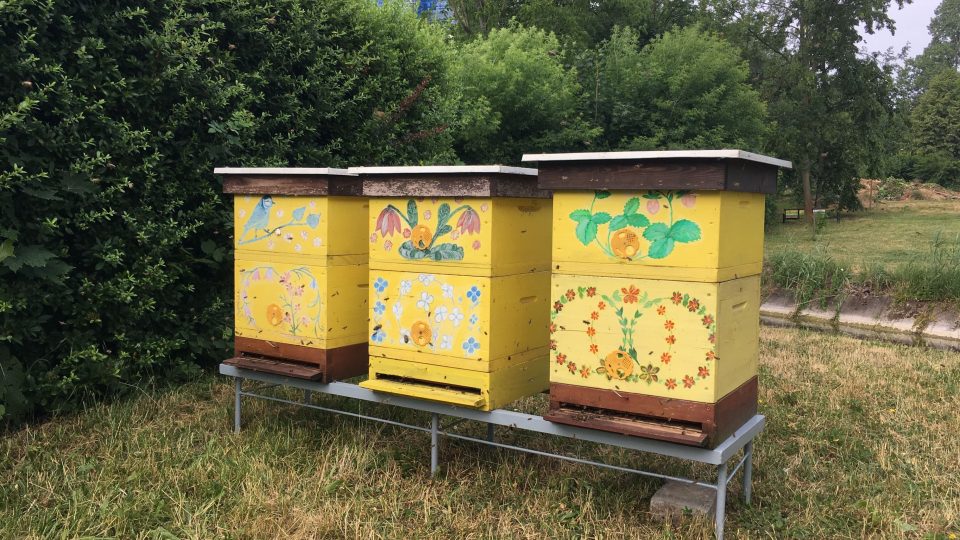 Nové úly v Zahradě léčivých rostlin FF UK Hradec Králové
