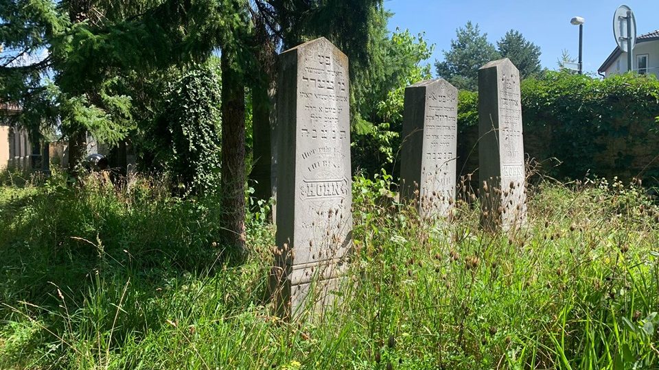 Dobrovolníci začali čistit starý židovský hřbitov v Dobrušce na Rychnovsku