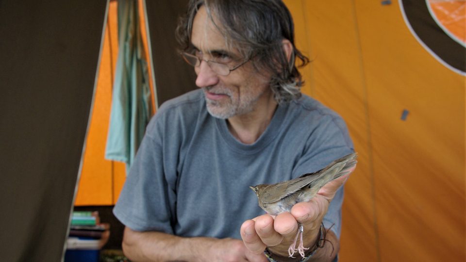 Ornitolog V. Šoltys s okroužkovaným rákosníkem
