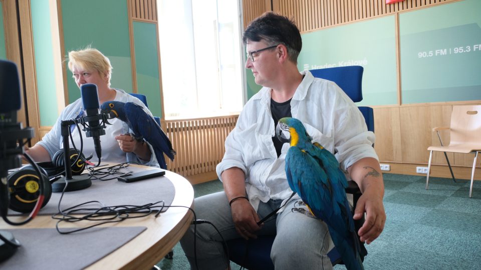 Záchranná stanice Sunny days z Králík u Nového Bydžova vzala pod svá křídla už přes 70 papoušků
