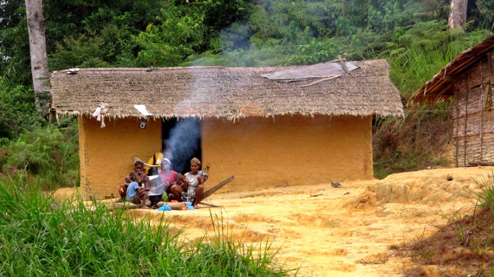 Do nejčernější Afriky nejen za gorilami. To je Gabon