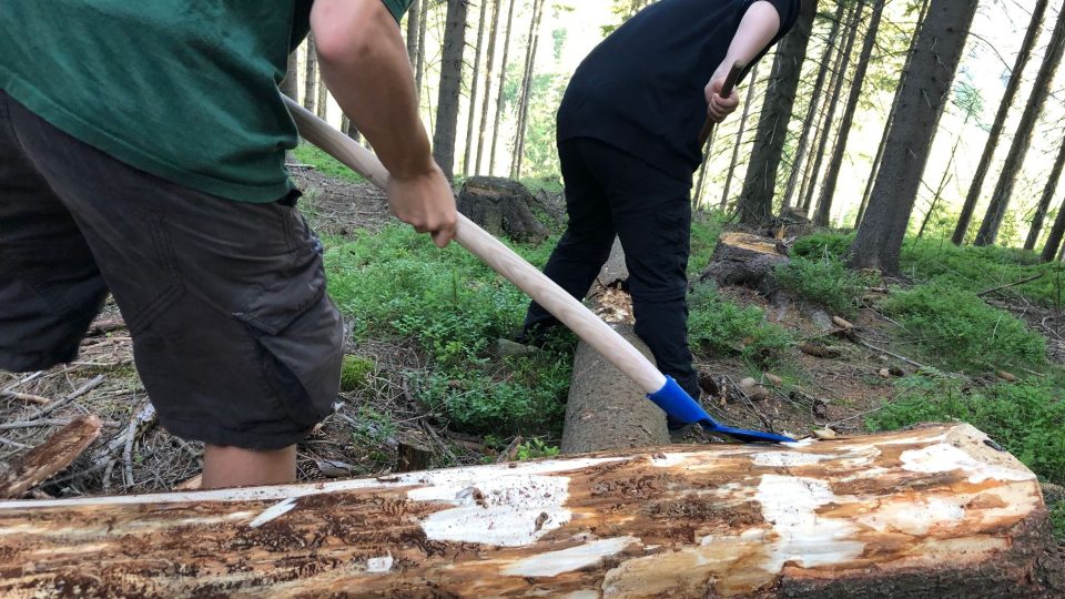 Skauti přijeli do Krkonoš a pomáhají Správě Krkonošského národního parku v boji s kůrovcem