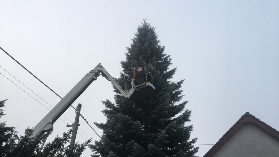 Přeprava a instalace vánočního stromu v Hradci Králové