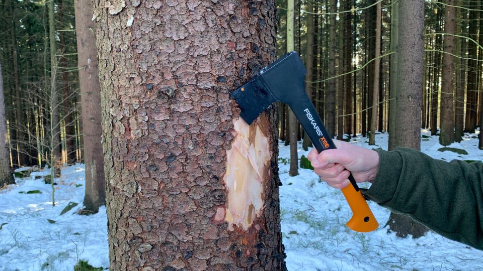 V zimě pokračuje nejen kácení kůrovcem napadeného dřeva, ale i vyhledávání problémových lokalit