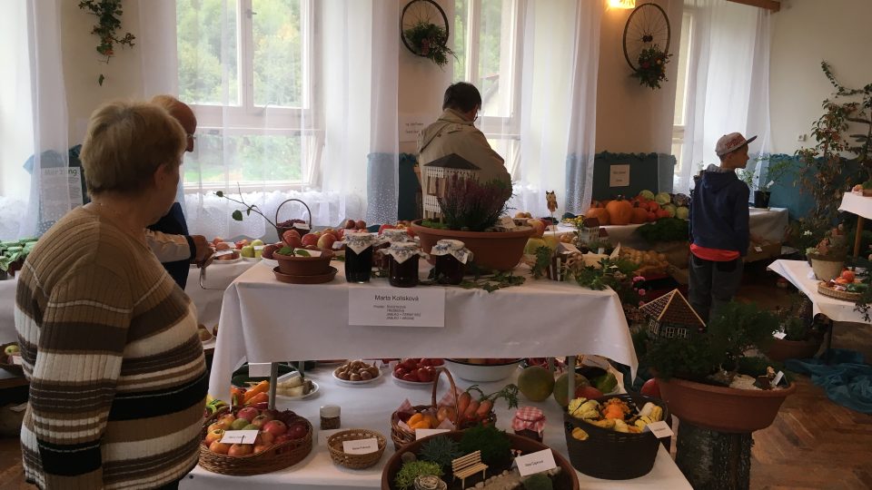 Zahrádkářská výstava ve Slatině nad Úpou