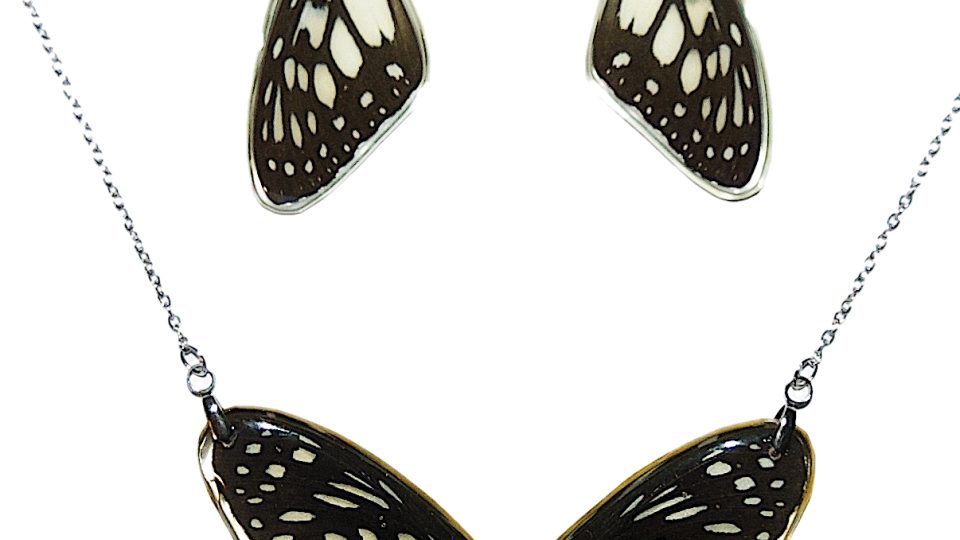 ByButterfly motýlí sada šperků Tirumala septentrionis 2480