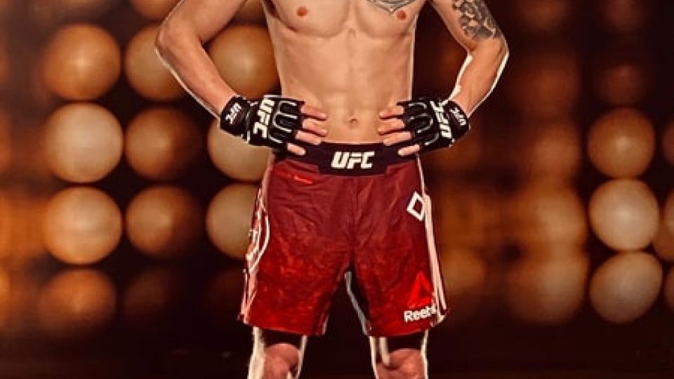 David Dvořák, bojovník MMA